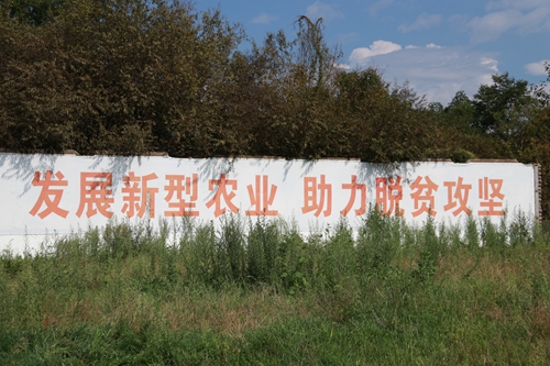 副本7.jpg 副本7.jpg