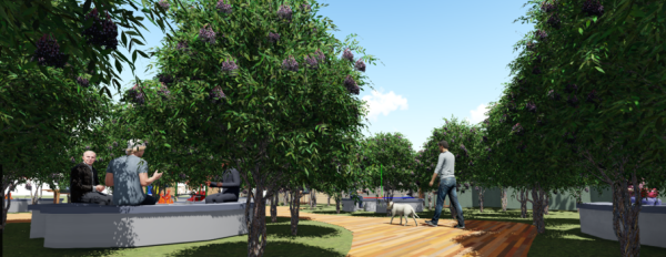 教学成果|云南经济管理学院艺术与传媒学院设计系 -19级环境设计专业太阳冲村采风项目实践小结 第 20 张