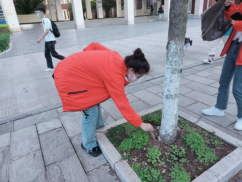 【魅力工程】-弘扬雷锋精神，砥砺初心使命————建筑工程学院在行动！ 第 2 张