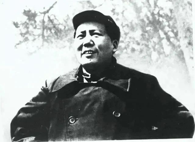0226a34eca4629cc35e26dc9c13da972.jpg 0226a34eca4629cc35e26dc9c13da972.jpg