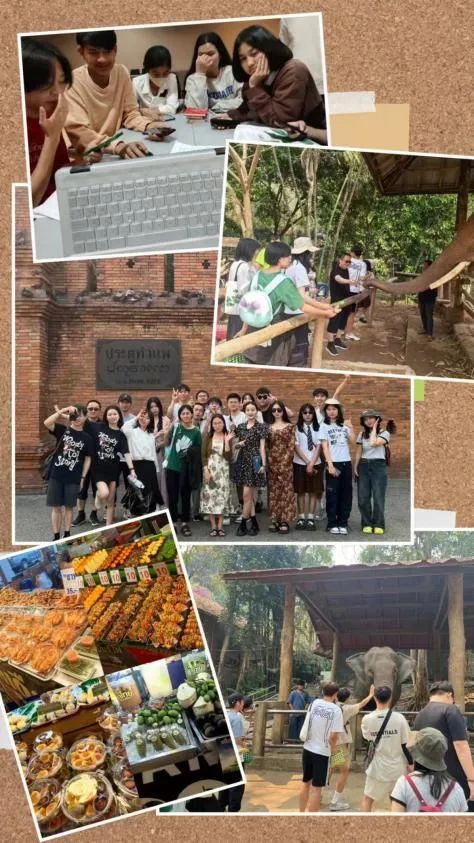 精英启航 | 青春恰似火，远航正当时--泰国研学 第 4 张