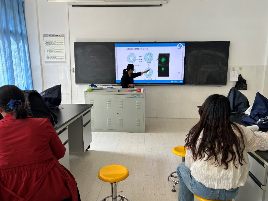 医学院基础医学系开展“精彩一课”教学活动 第 1 张
