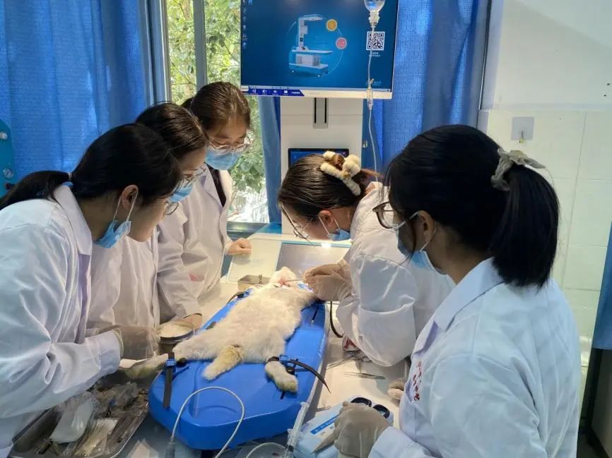 药理学课程组开展集体备课活动，凝心聚力促药理学实验教学创新与发展 第 4 张