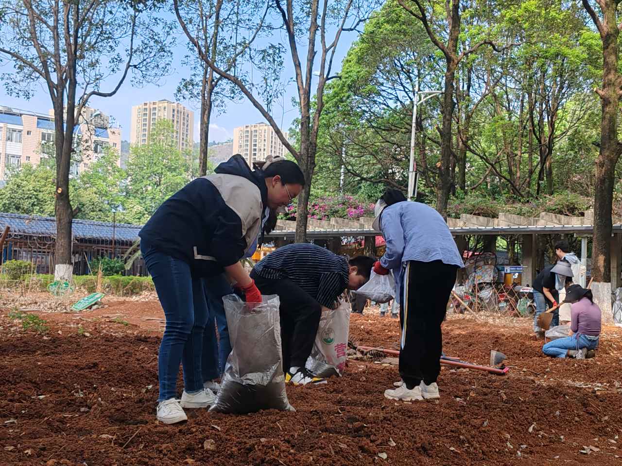 筑牢劳动教育的信仰之本 ——医学院药学系开展百草园试验田种植活动 第 1 张 筑牢劳动教育的信仰之本 ——医学院药学系开展百草园试验田种植活动 第 1 张
