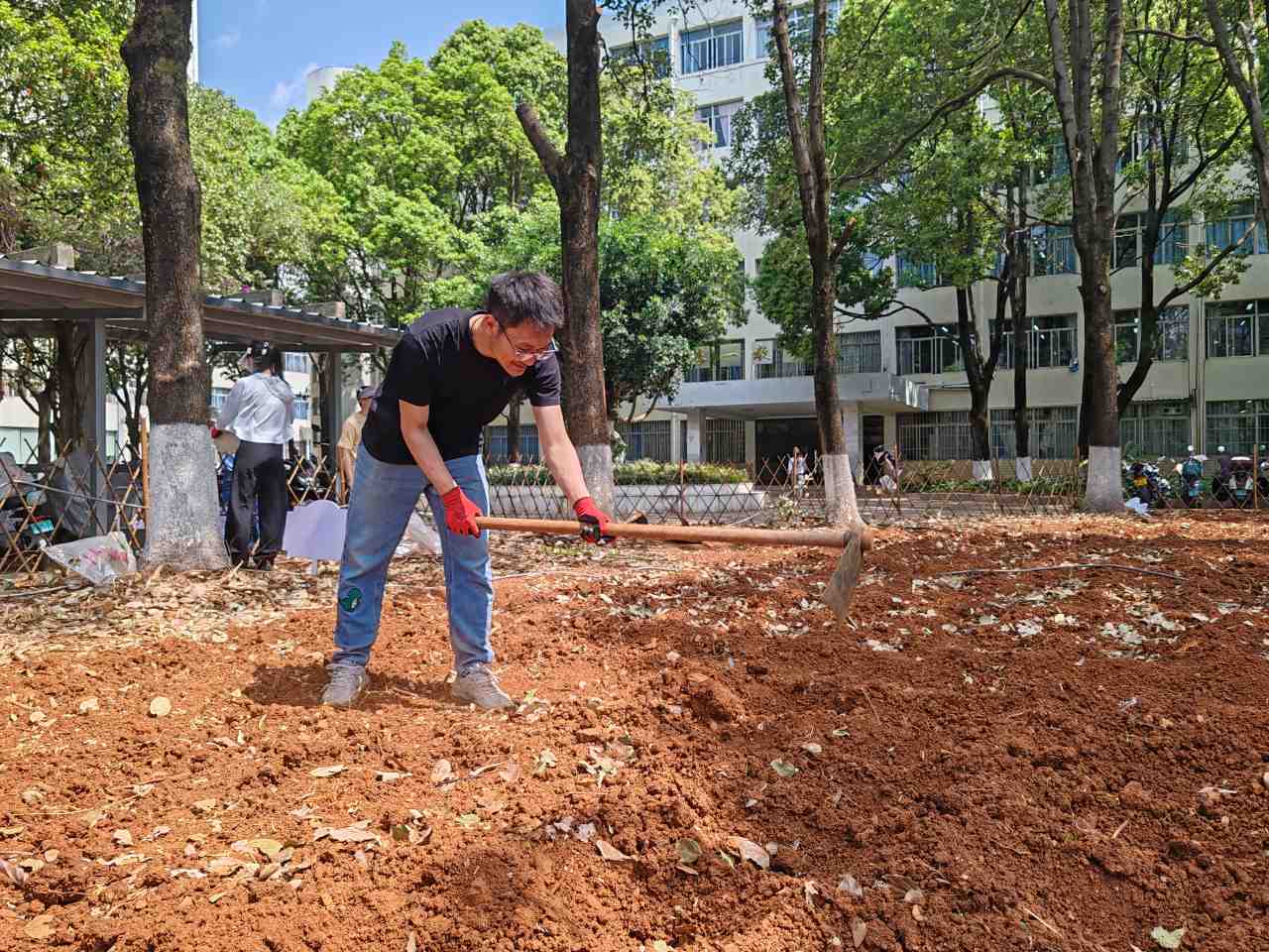 筑牢劳动教育的信仰之本 ——医学院药学系开展百草园试验田种植活动 第 2 张 筑牢劳动教育的信仰之本 ——医学院药学系开展百草园试验田种植活动 第 2 张
