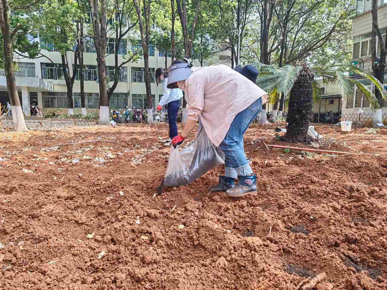 筑牢劳动教育的信仰之本 ——医学院药学系开展百草园试验田种植活动 第 3 张 筑牢劳动教育的信仰之本 ——医学院药学系开展百草园试验田种植活动 第 3 张