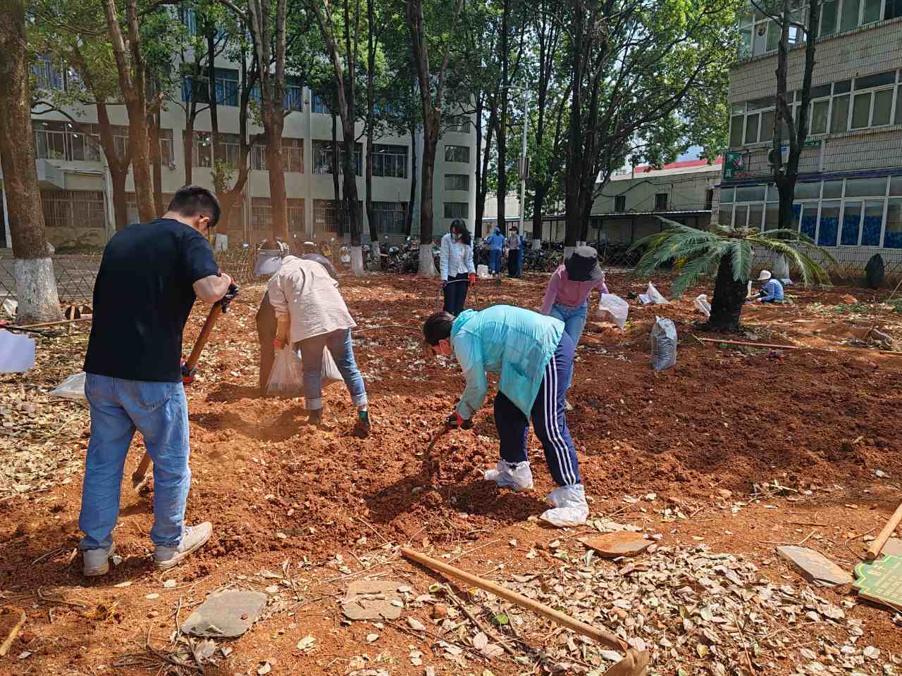 筑牢劳动教育的信仰之本 ——医学院药学系开展百草园试验田种植活动 第 4 张 筑牢劳动教育的信仰之本 ——医学院药学系开展百草园试验田种植活动 第 4 张
