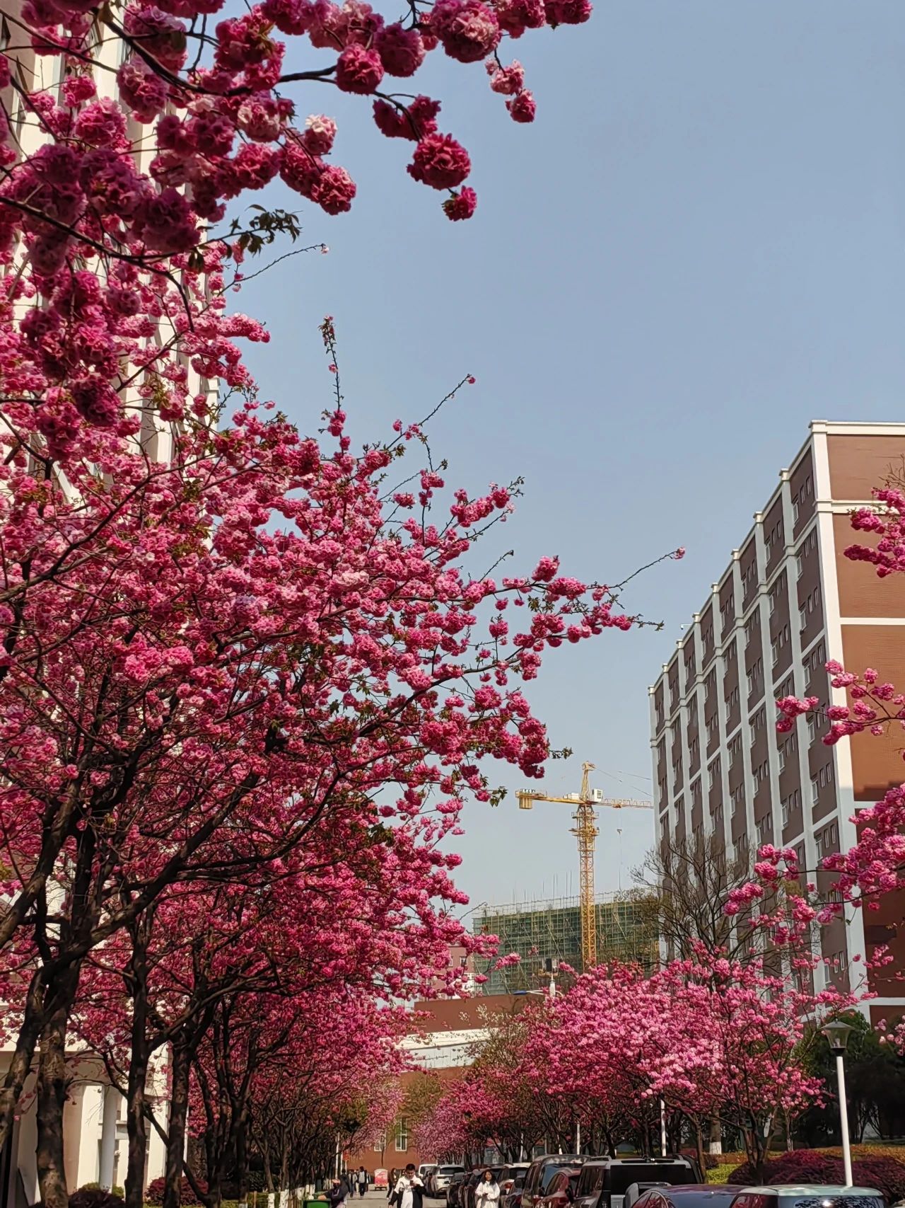 146c52a732c320edd7ee7fadbdf04769.jpg 146c52a732c320edd7ee7fadbdf04769.jpg