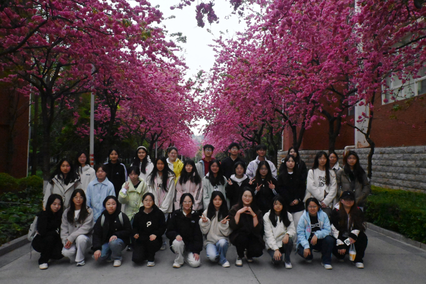 一站式学生社区 | 财会金融学院智慧社区开展“樱韵芳华，美好留存”压花书签制作 第 1 张