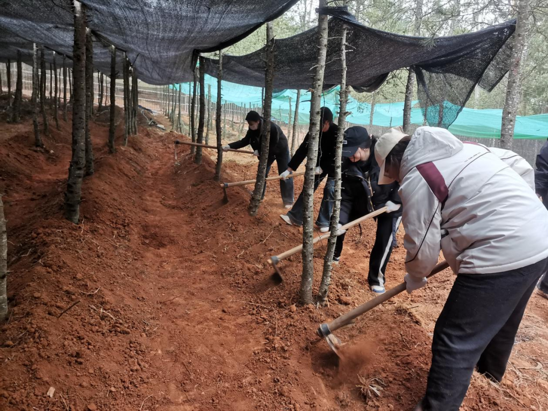 劳动赋能促成长 | 财会金融学院开展校外劳动实践活动 第 6 张