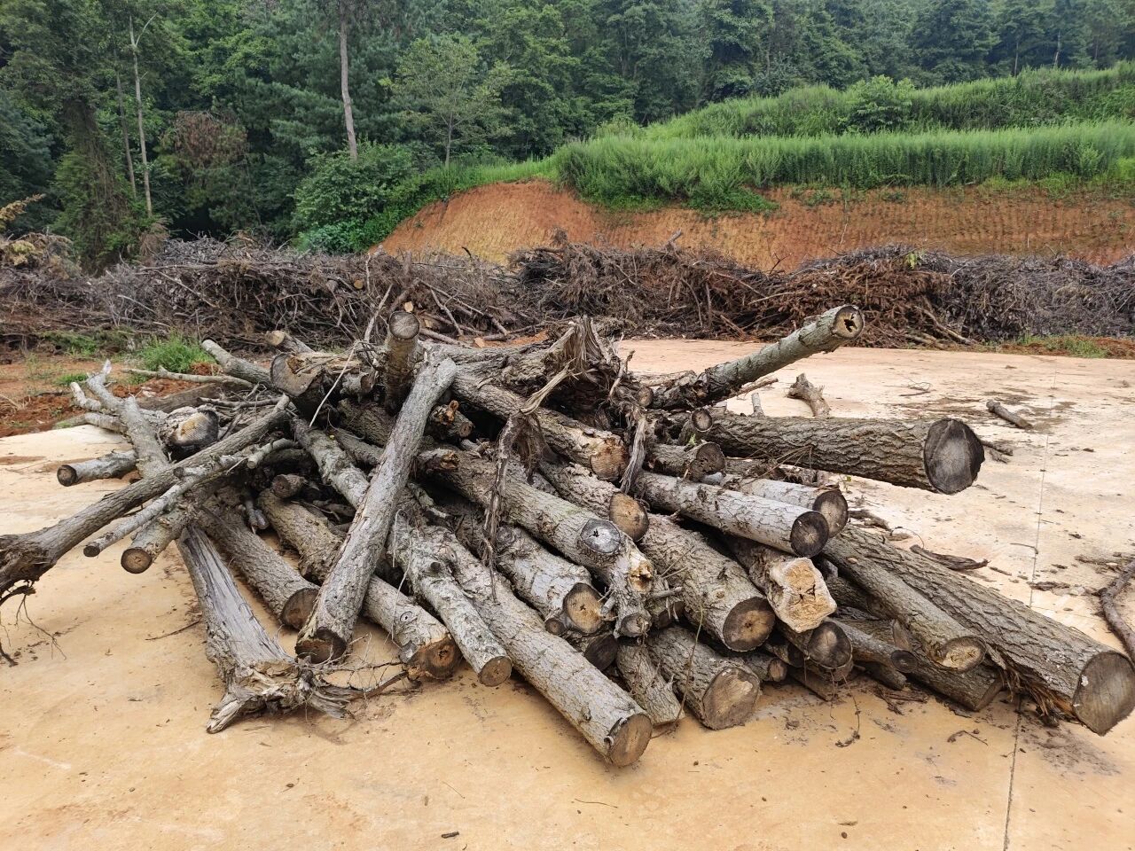 暑假社会实践 | 万物生息，科技赋能ESG循环发展 第 4 张