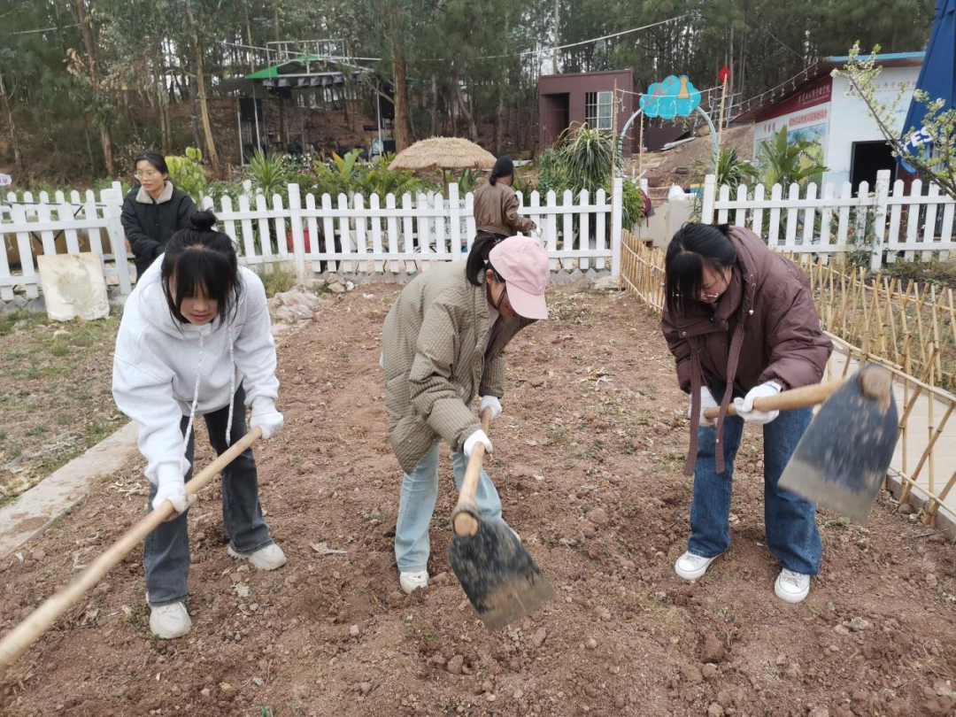 劳动赋能促成长 | 财会金融学院开展校外劳动实践活动 第 4 张