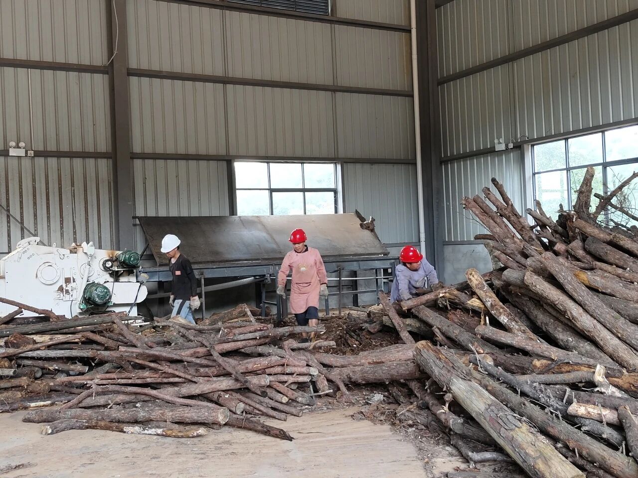 暑假社会实践 | 万物生息，科技赋能ESG循环发展 第 6 张