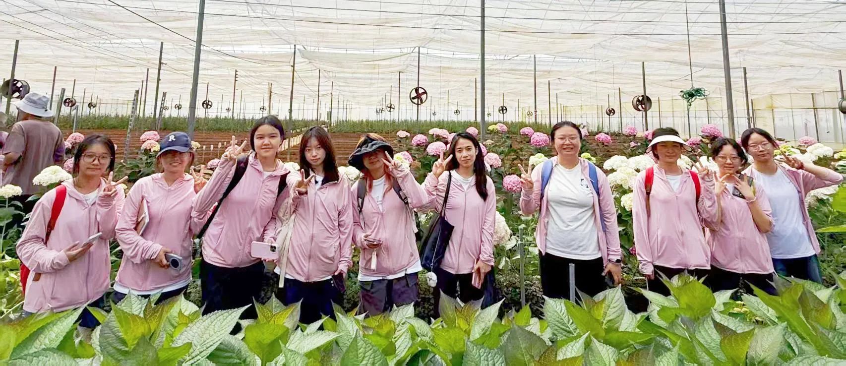 暑期社会实践｜探秘玫瑰产业双生花，解锁“花”样经济新价值 第 14 张