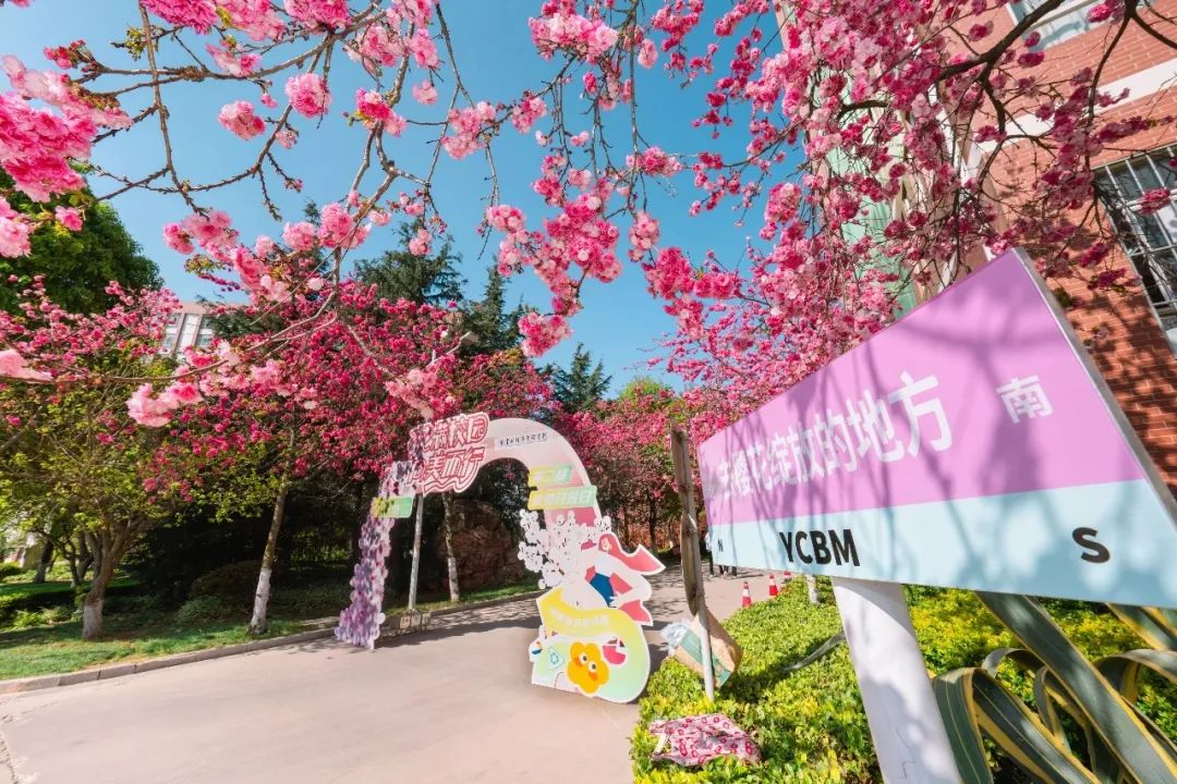 扶墙进，扶墙出！舌尖上的狂欢即将来袭！你准备好了吗？ 第 2 张