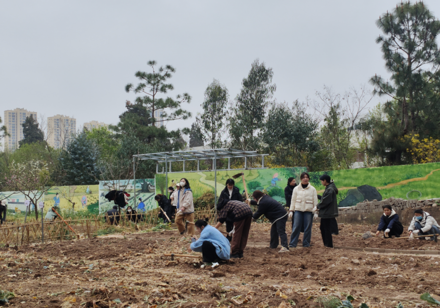 劳动赋能促成长 | 财会金融学院开展校外劳动实践活动 第 1 张