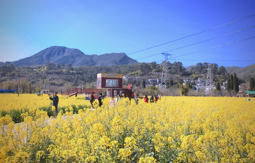 快来加入我们!与其躺平一“夏”,不如实干一场! 第 1 张 快来加入我们!与其躺平一“夏”,不如实干一场! 第 1 张