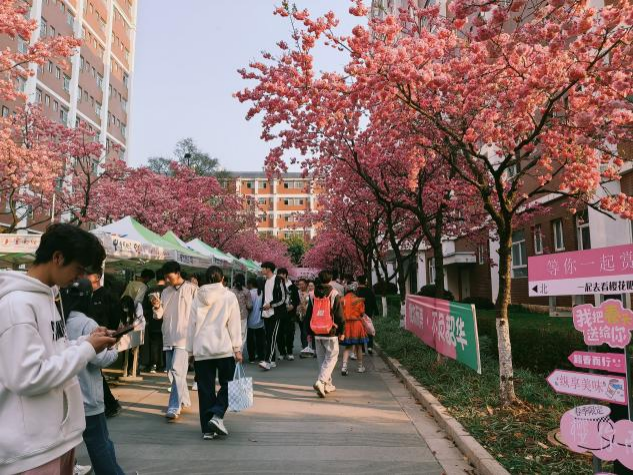 学院资讯 | 校园樱花美食文化节圆满落幕 第 7 张 学院资讯 | 校园樱花美食文化节圆满落幕 第 7 张
