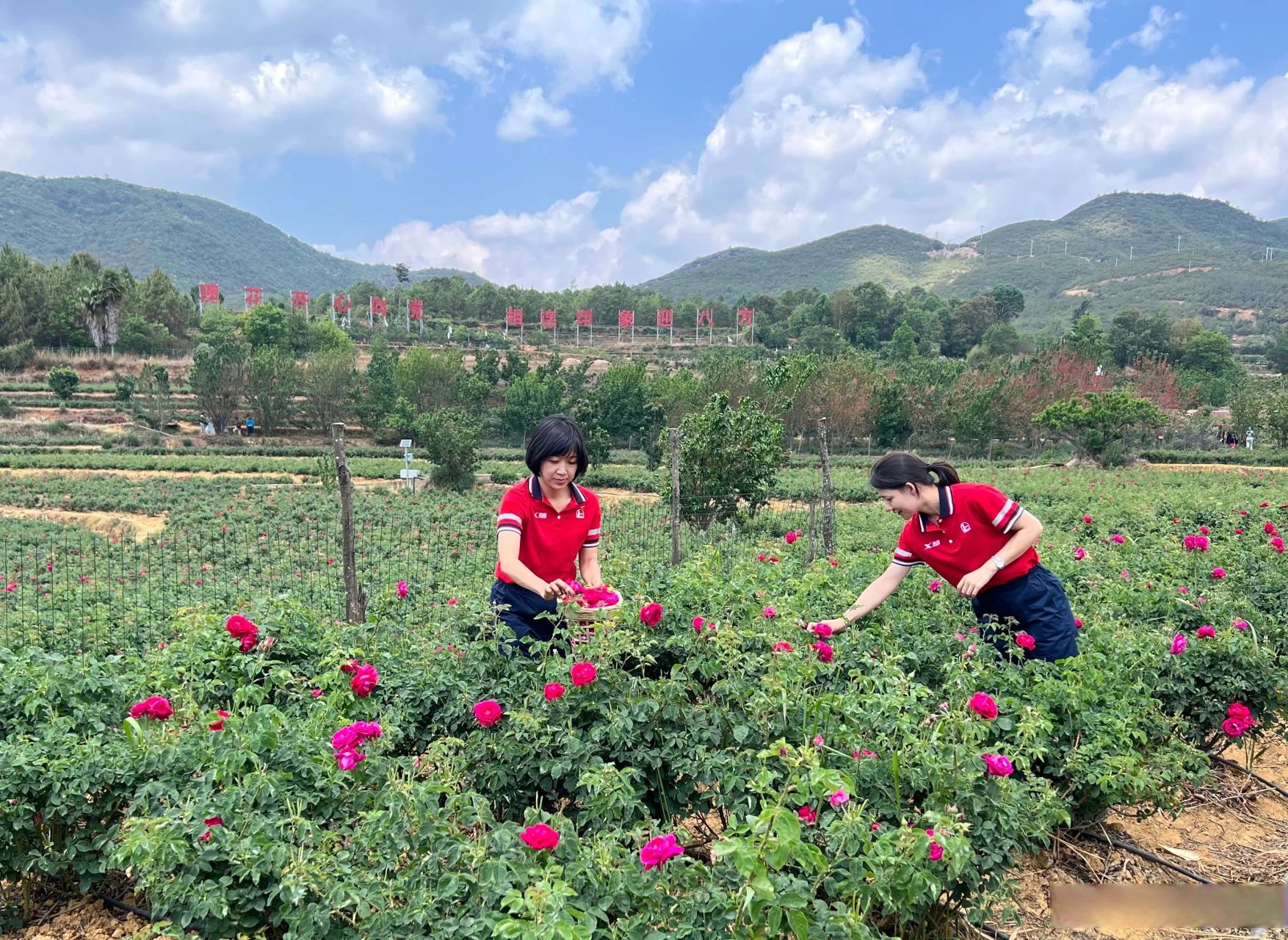 快来加入我们!与其躺平一“夏”,不如实干一场! 第 4 张 快来加入我们!与其躺平一“夏”,不如实干一场! 第 4 张
