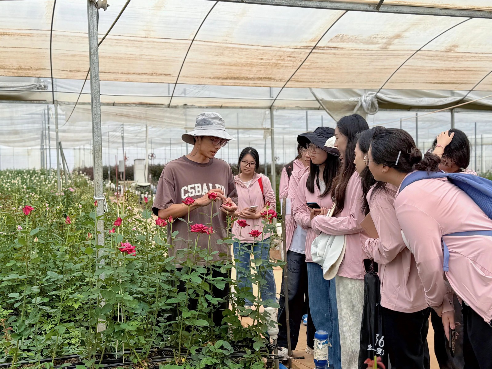 暑期社会实践｜探秘玫瑰产业双生花，解锁“花”样经济新价值 第 11 张