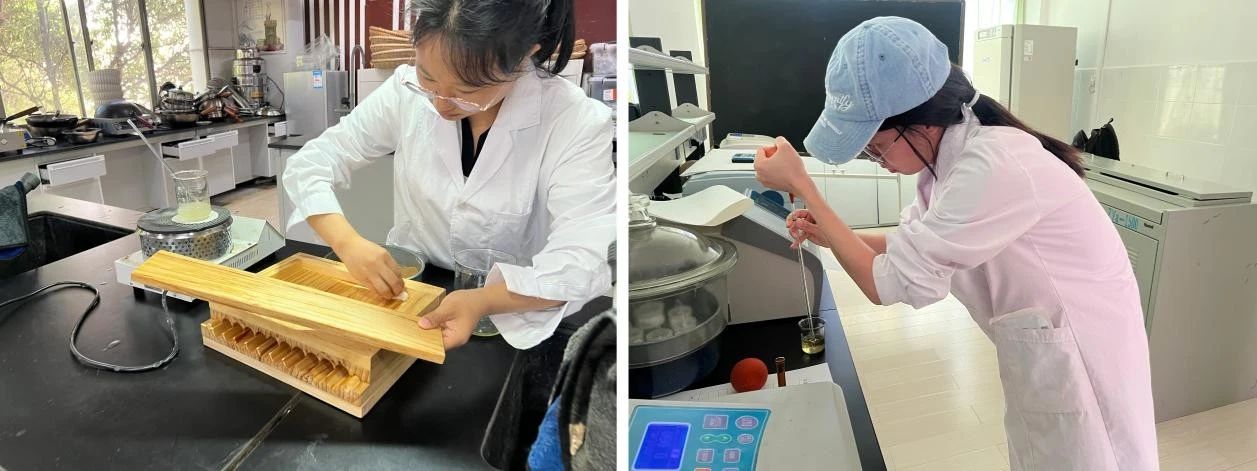 3.jpg 匠心淬炼百草香 多维考评严把关 ——云南经济管理学院医学院2021级中药学专业综合测试圆满落幕 第 3 张