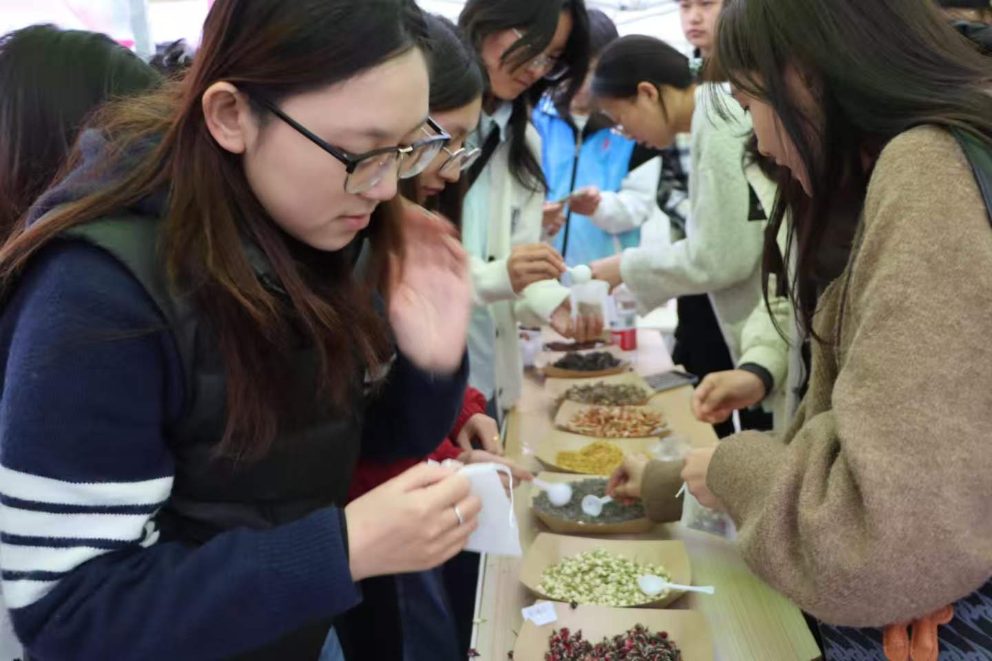 当樱花遇见中医药：医学院亮相校园开放日，传统医学“可尝可触” 第 3 张